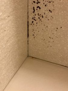 トイレが臭い原因と対策 見落としがちなトイレの壁紙の臭いと汚れの除去 アルマ Alma